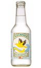 NaturFrisk Danskvand Citrus 25 cl.